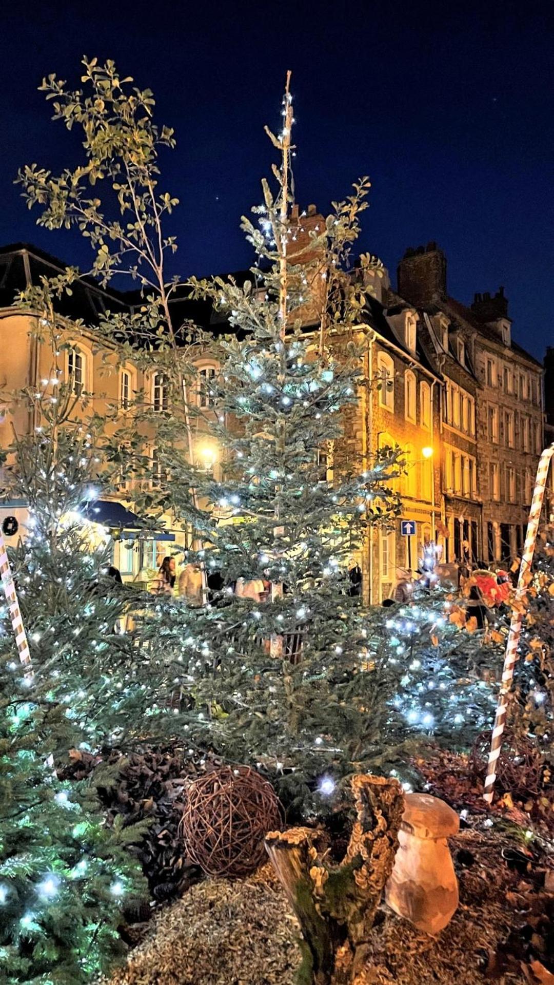 Cocon Lumineux Proche De La Ville Fortifiee Et De Nausicaa Μπουλόν-Σιρ-Μερ Εξωτερικό φωτογραφία